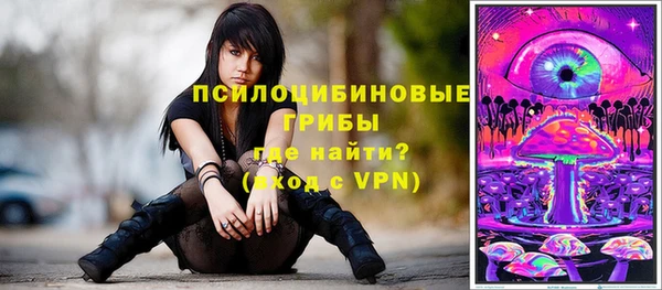 эйфоретик Баксан