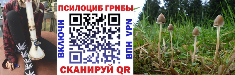 где найти наркотики  Котово  Псилоцибиновые грибы Cubensis 